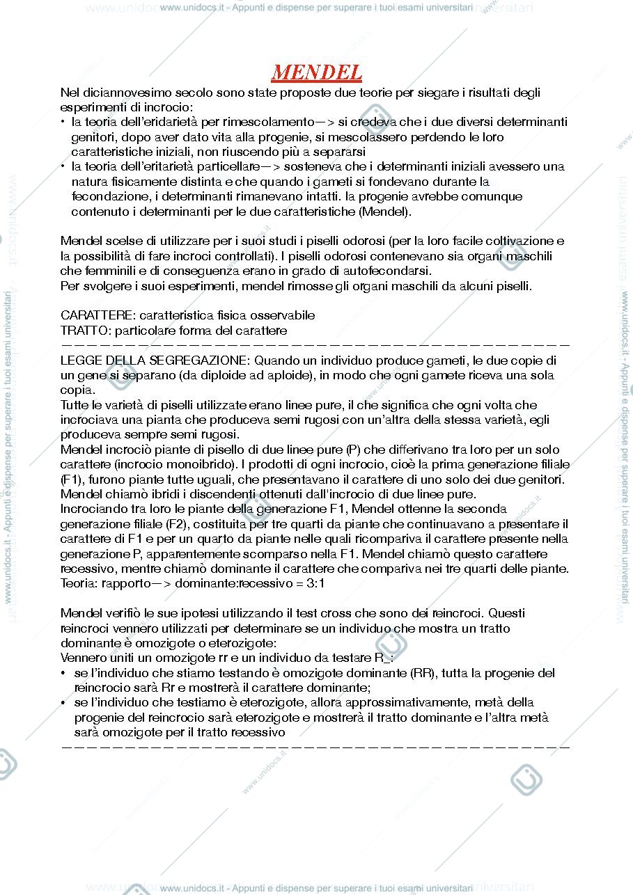 Anteprima pagina 1 — mendel