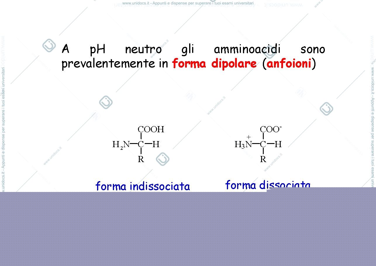 Anteprima pagina 4 — Amminoacidi e proteine 