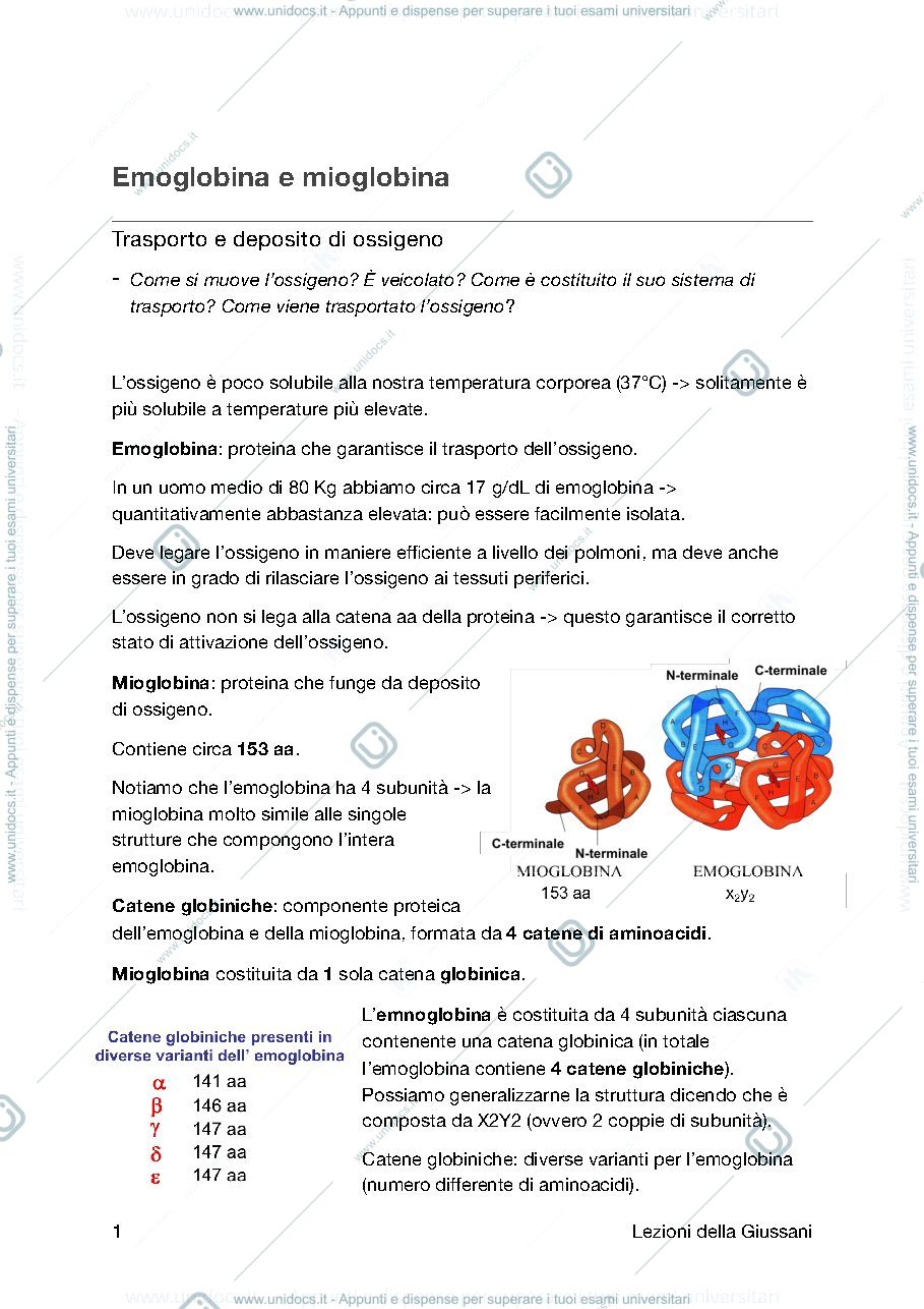 Anteprima pagina 1 — Emoglobina