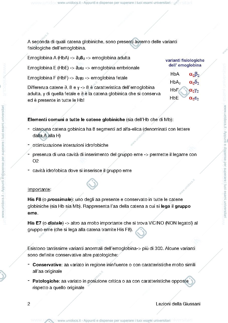 Anteprima pagina 2 — Emoglobina
