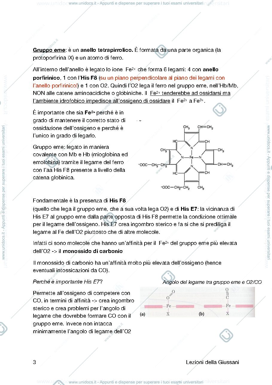 Anteprima pagina 3 — Emoglobina