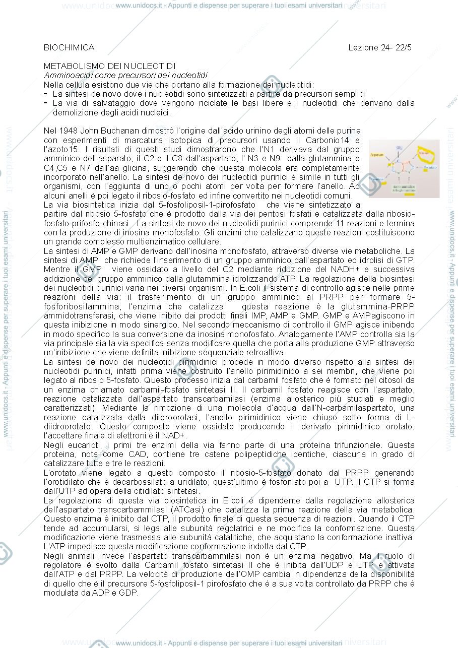 Anteprima pagina 1 — nucleotidi e vitamine