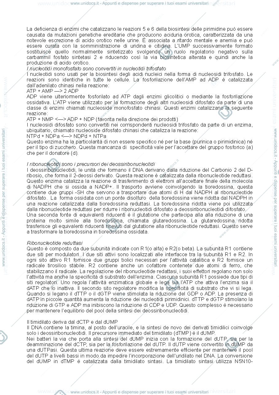 Anteprima pagina 2 — nucleotidi e vitamine