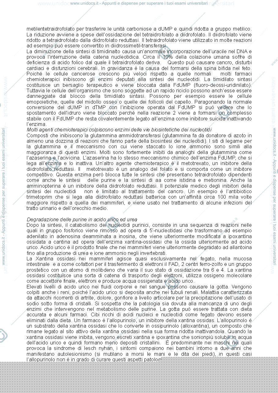 Anteprima pagina 3 — nucleotidi e vitamine