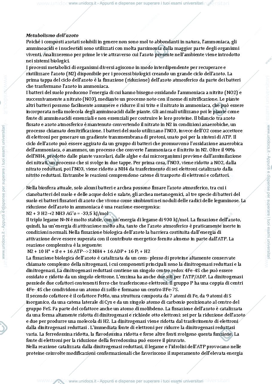 Anteprima pagina 1 — metabolismo dell'azoto