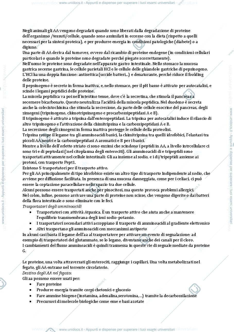 Anteprima pagina 3 — metabolismo dell'azoto