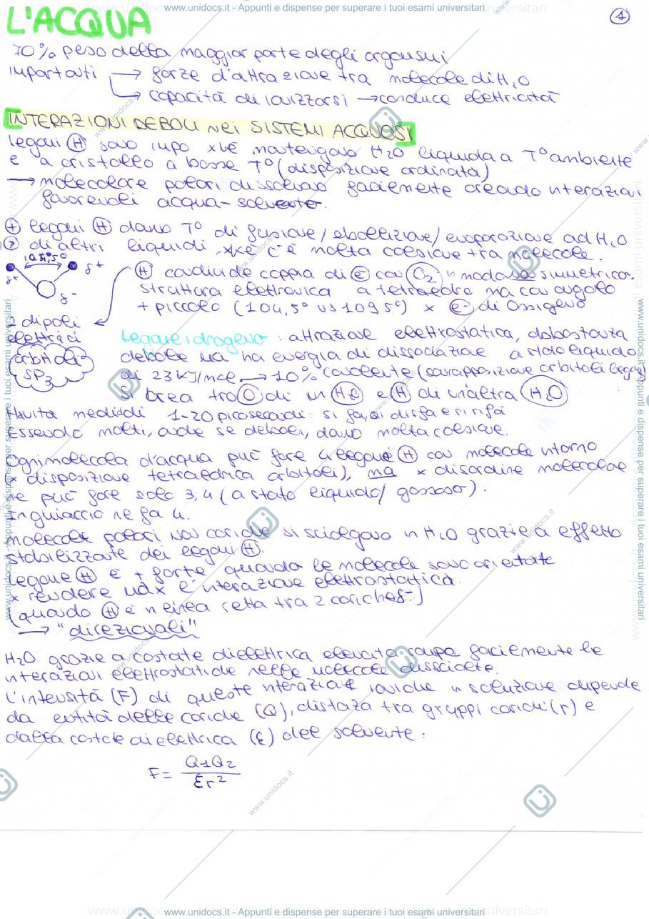 Anteprima pagina 1 — acqua
