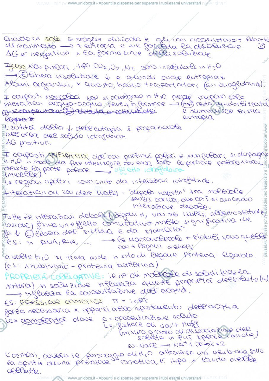 Anteprima pagina 2 — acqua