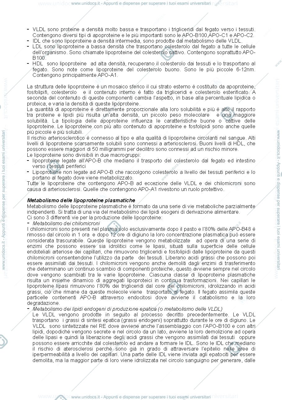 Anteprima pagina 2 — metabolismo dei lipidi