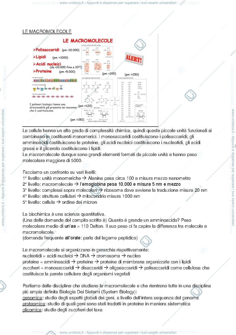 Anteprima pagina 5 — Biochimica e laboratorio