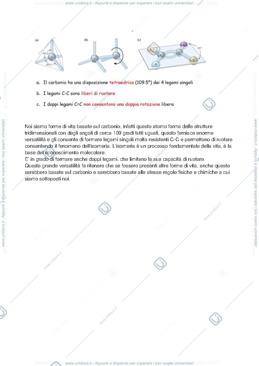 Anteprima pagina 4 — biochimica 