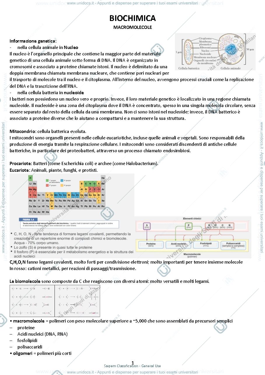 Anteprima pagina 1 — Riassunto di Biochimica