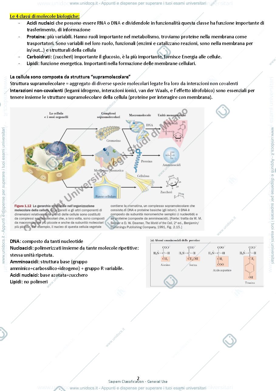 Anteprima pagina 2 — Riassunto di Biochimica