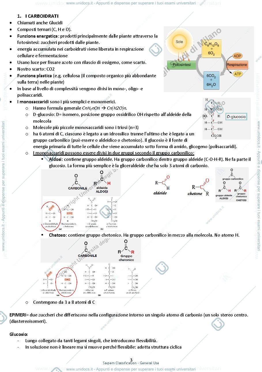 Anteprima pagina 3 — Riassunto di Biochimica