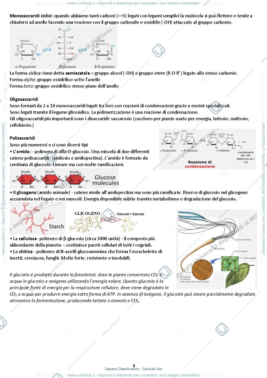 Anteprima pagina 4 — Riassunto di Biochimica