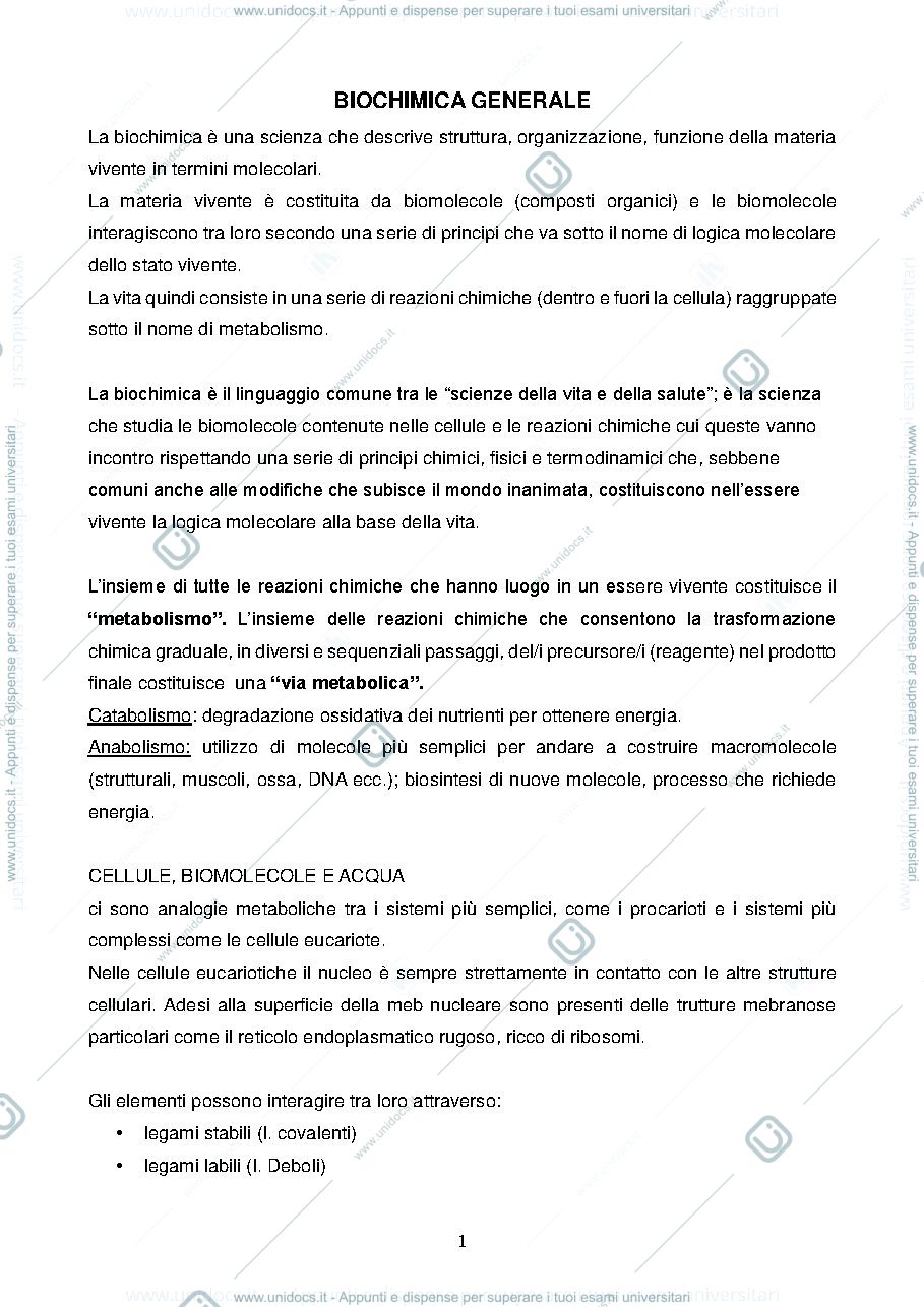 Anteprima pagina 1 — Biochimica