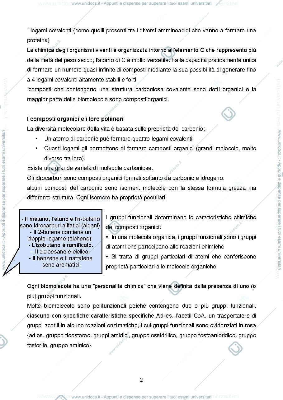 Anteprima pagina 2 — Biochimica