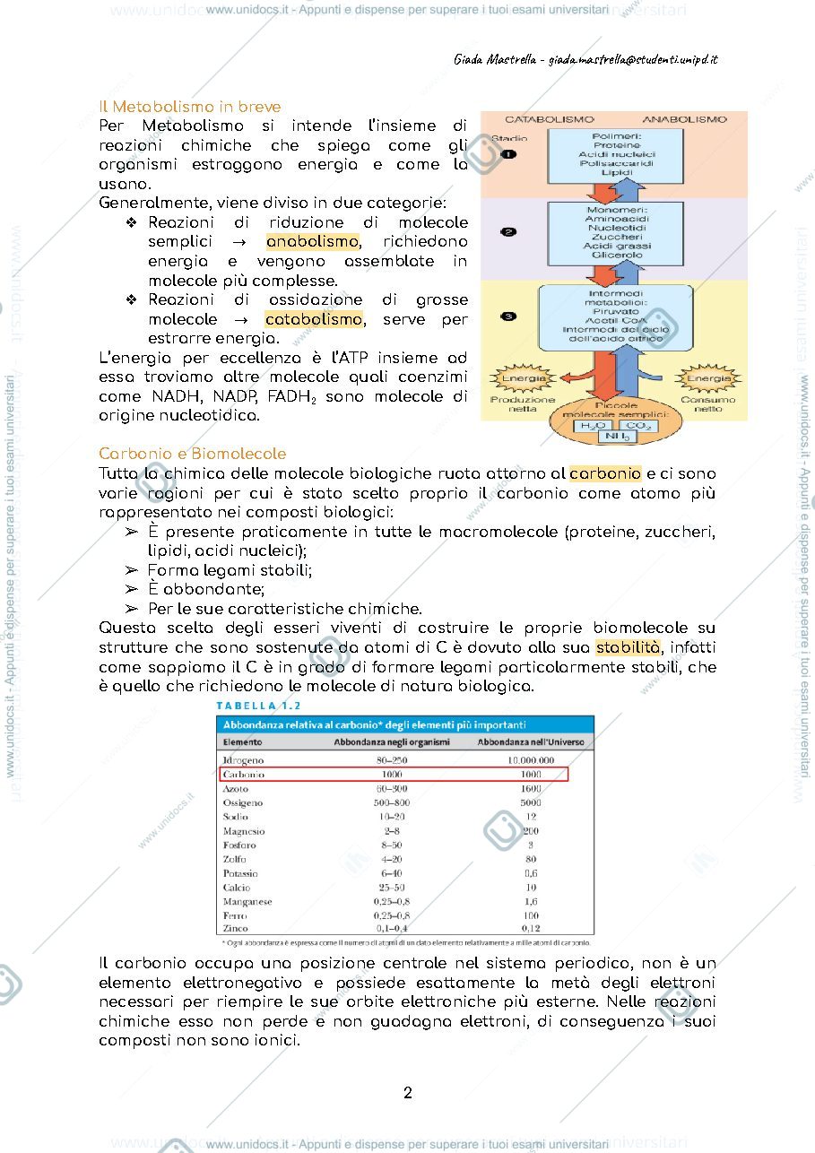 Anteprima pagina 3 — Appunti di Biochimica e Biologia Molecolare prof.ssa Brini