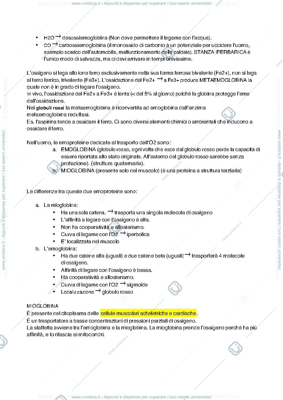 Anteprima pagina 2 — biochimica