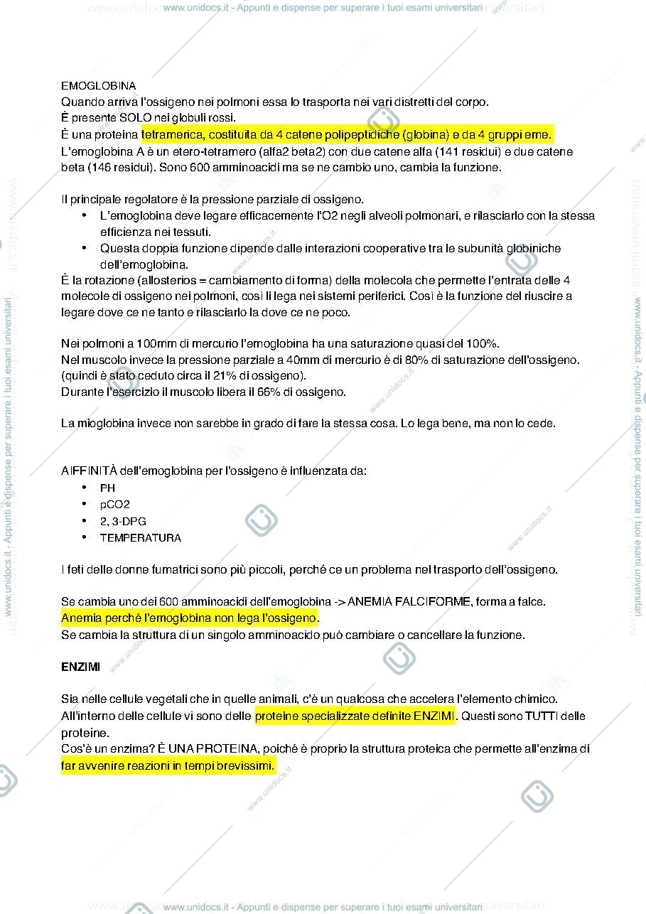 Anteprima pagina 3 — biochimica