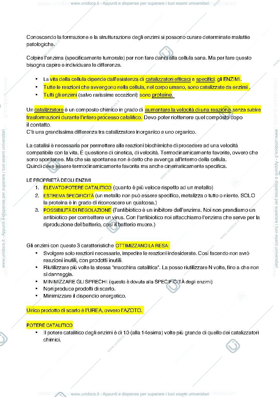 Anteprima pagina 4 — biochimica