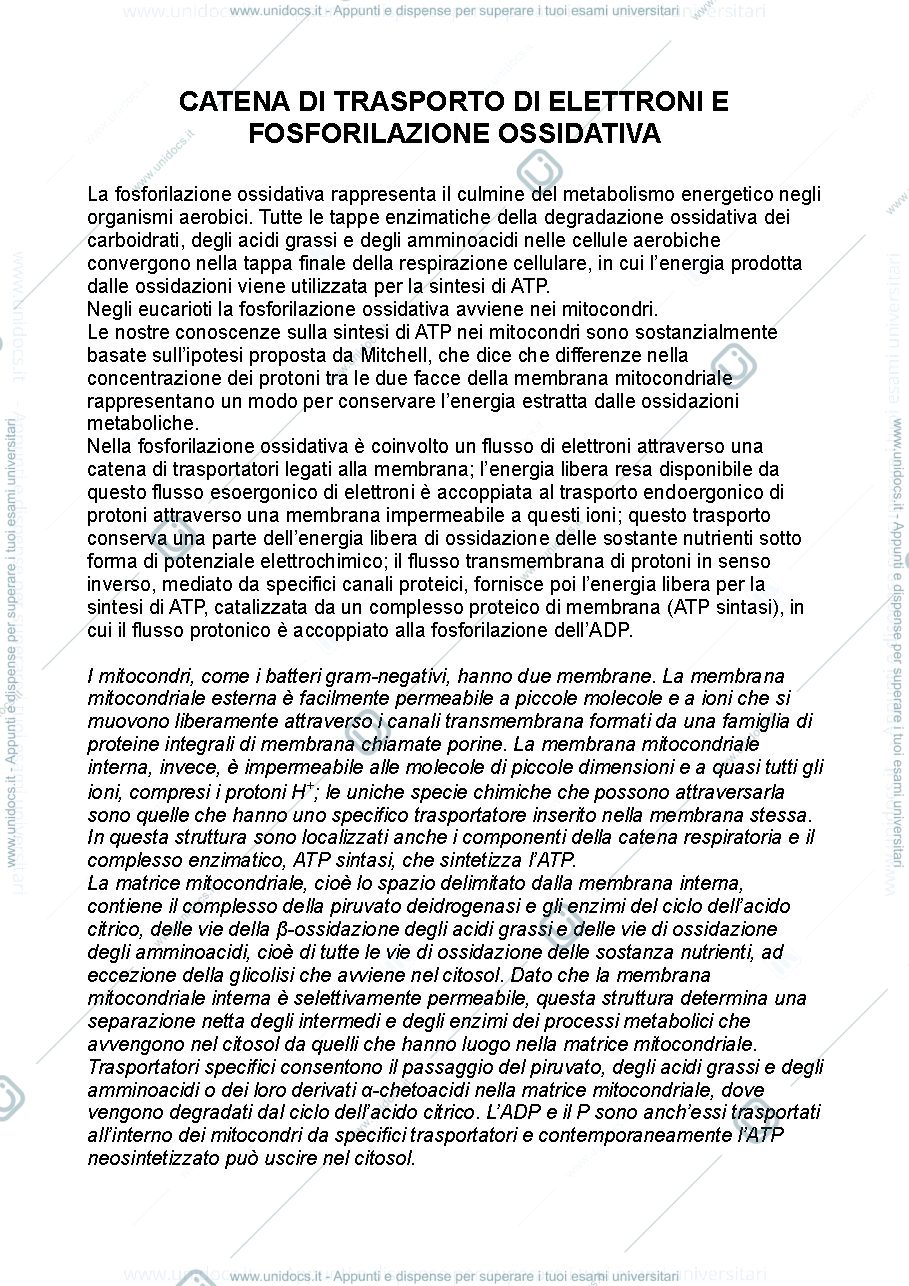 Anteprima pagina 1 — Biochimica metabolica - parte quinta