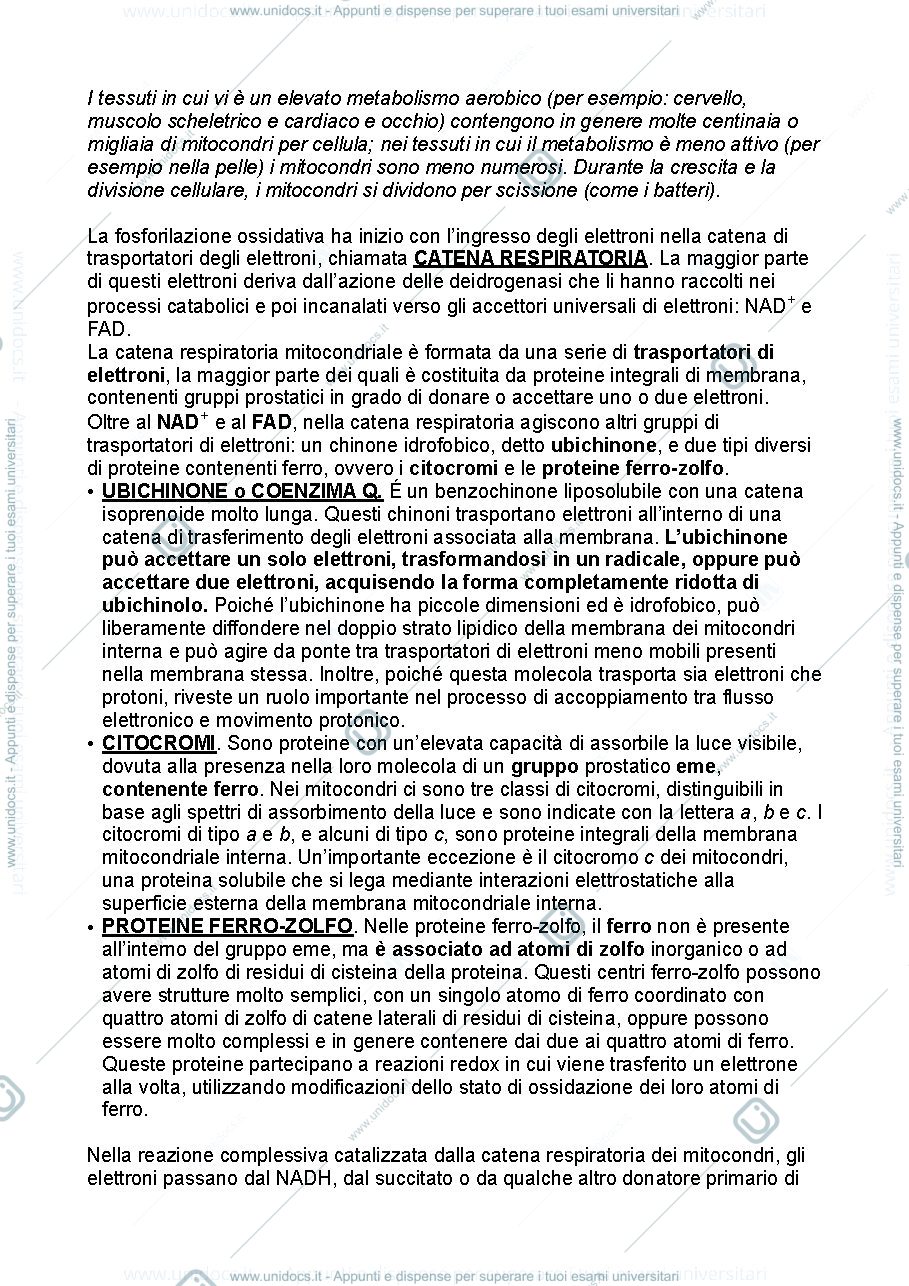 Anteprima pagina 2 — Biochimica metabolica - parte quinta