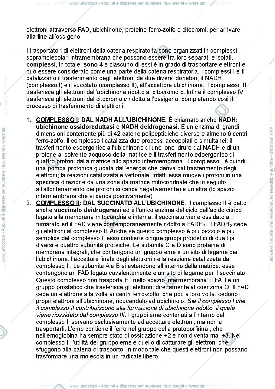 Anteprima pagina 3 — Biochimica metabolica - parte quinta