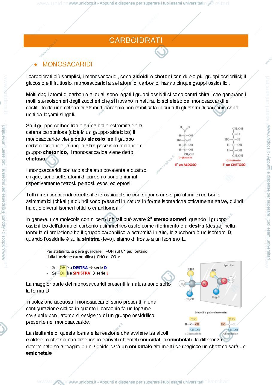 Anteprima pagina 1 — carboidrati