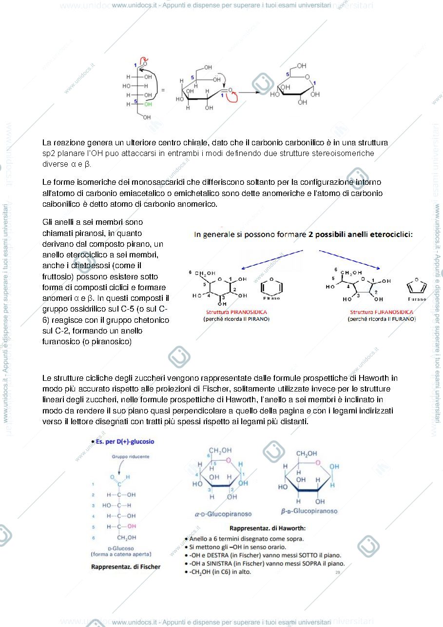 Anteprima pagina 2 — carboidrati