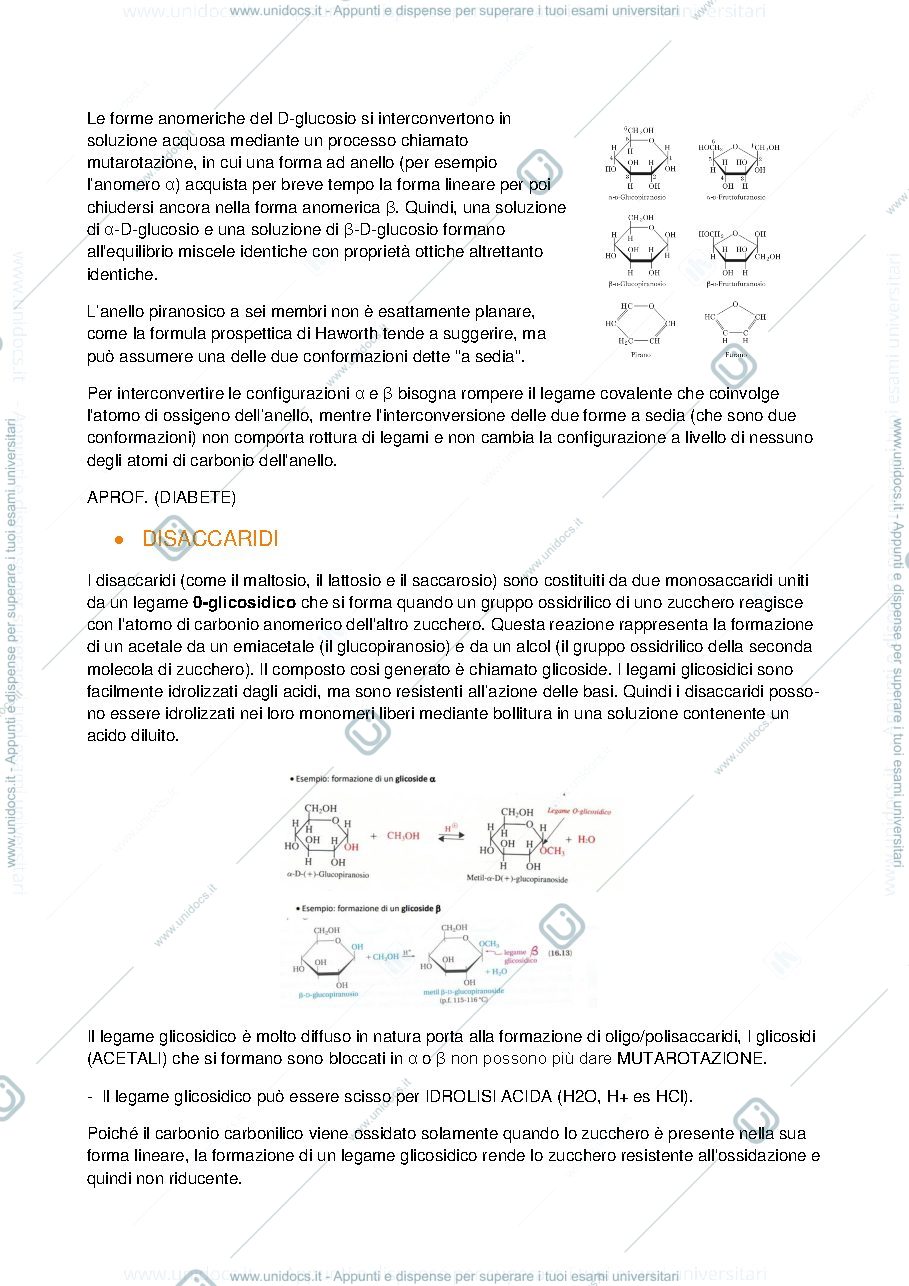 Anteprima pagina 3 — carboidrati
