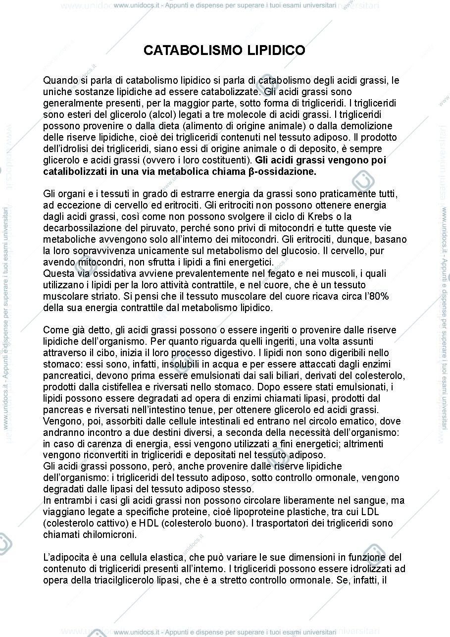 Anteprima pagina 1 — Biochimica metabolica - seconda parte