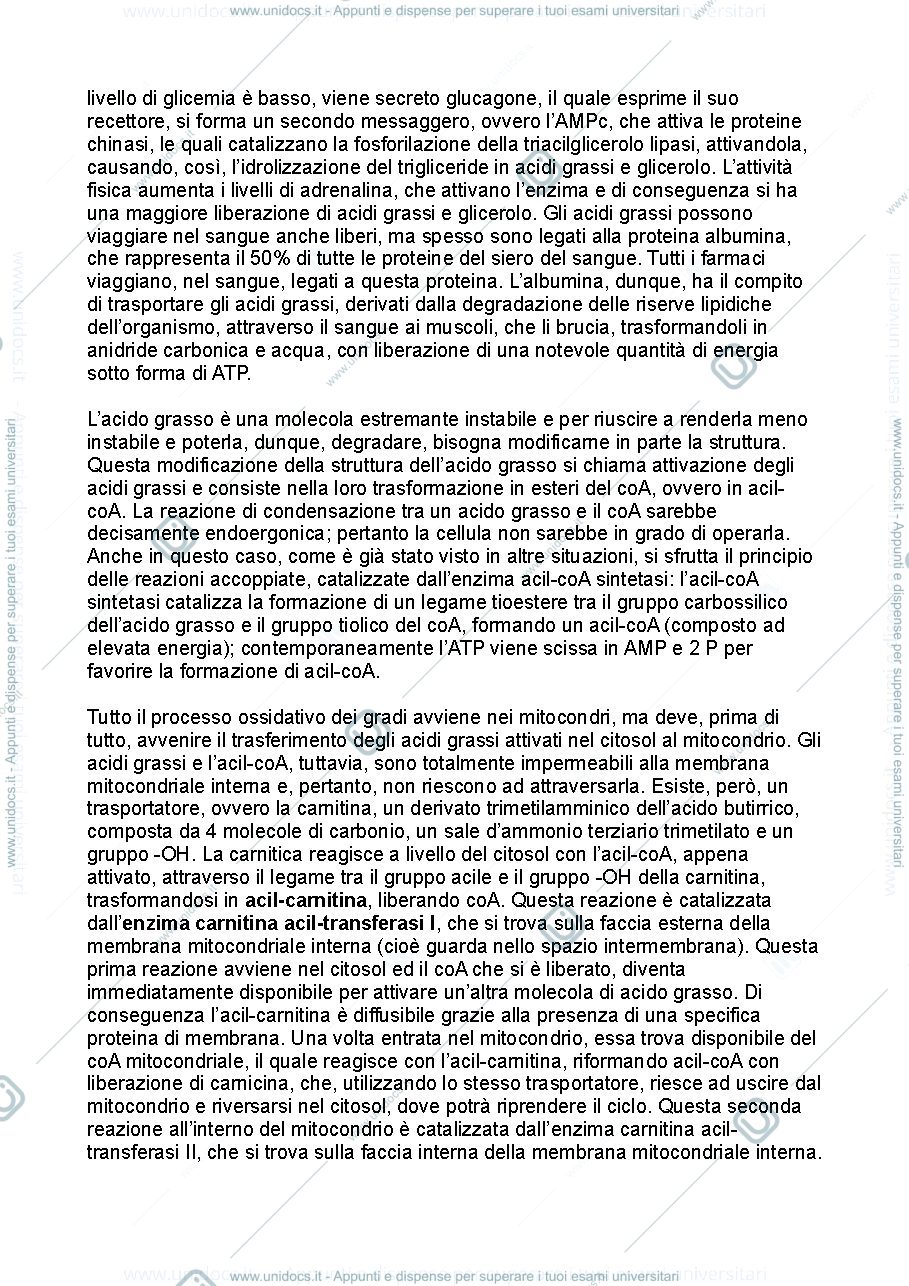 Anteprima pagina 2 — Biochimica metabolica - seconda parte
