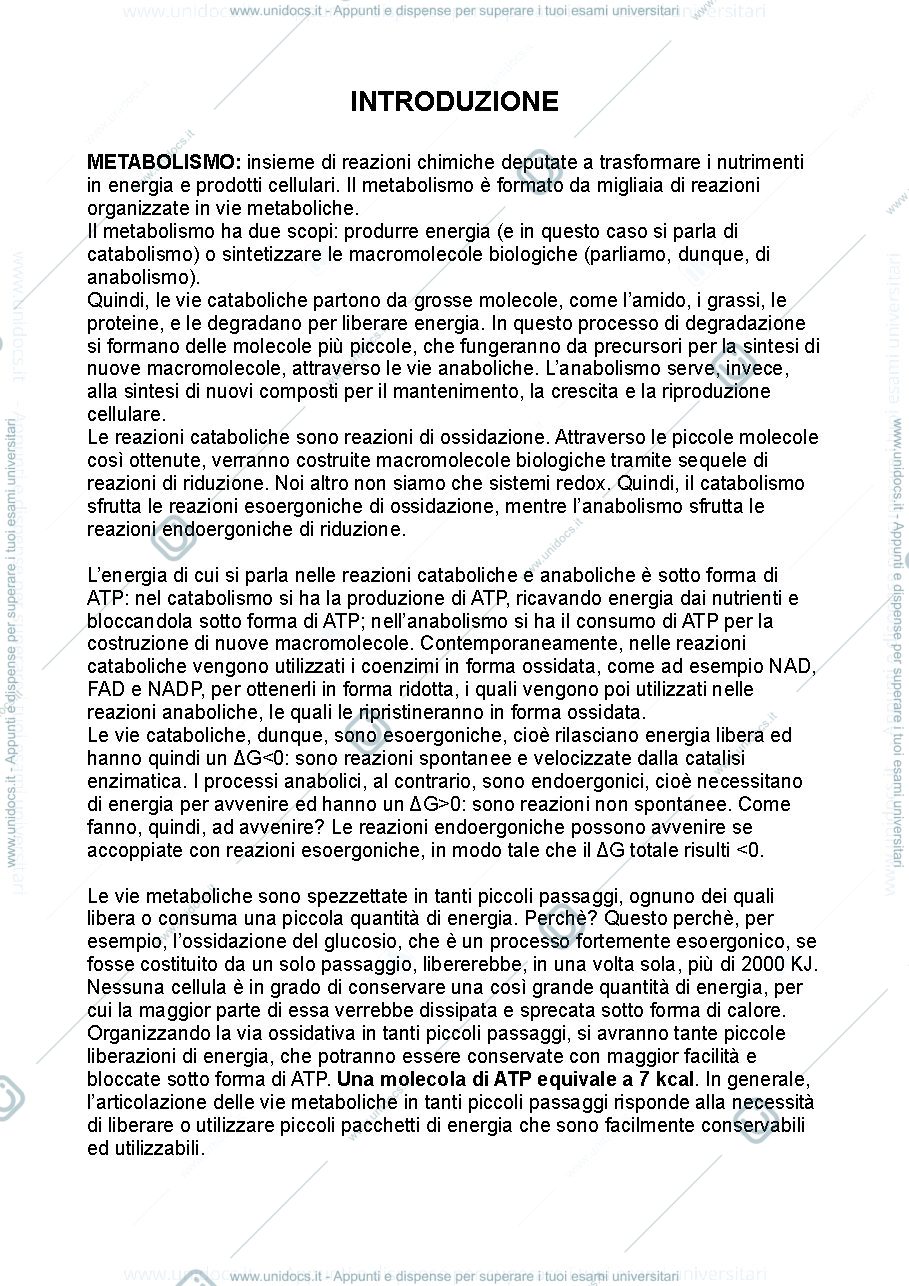 Anteprima pagina 1 — Biochimica metabolica prima parte