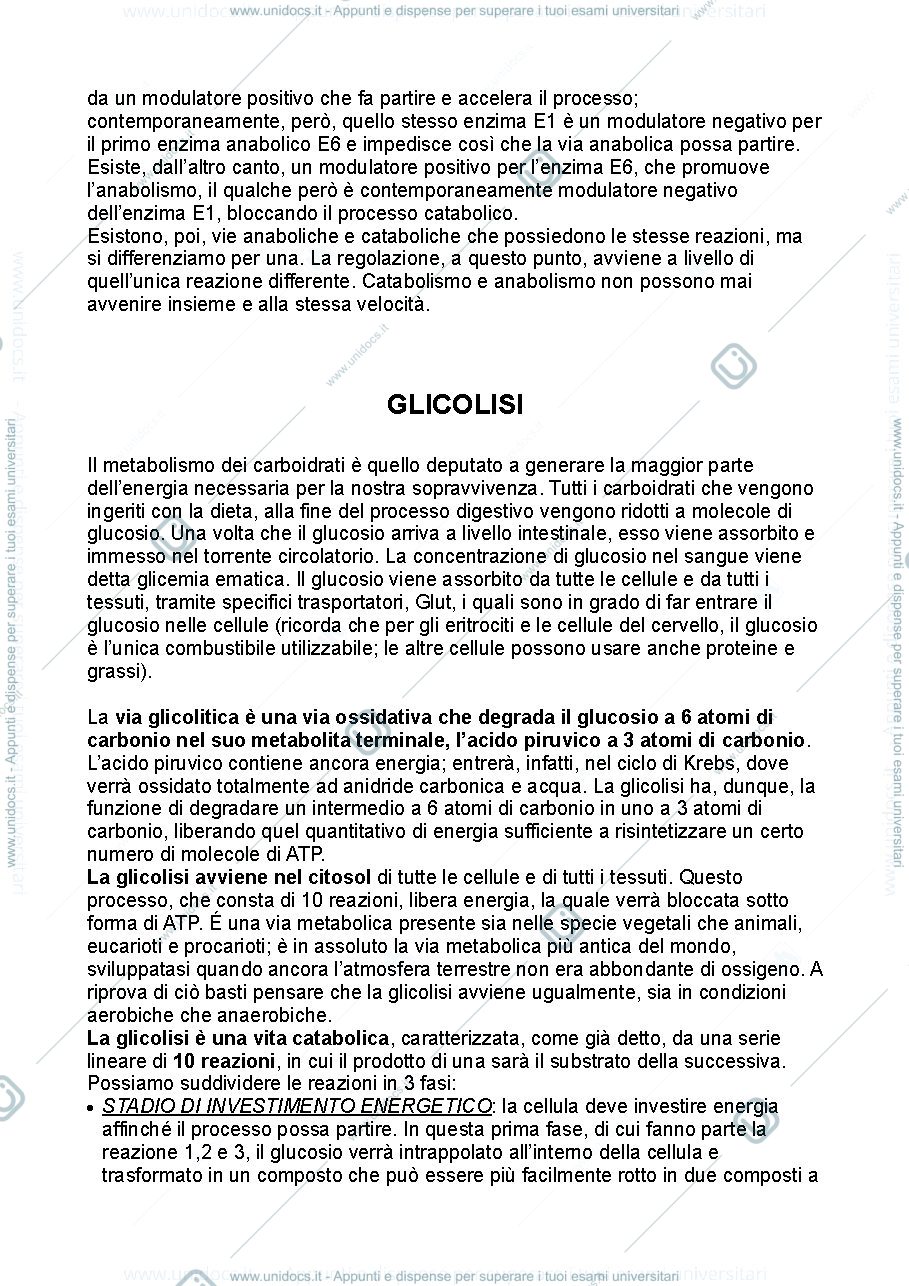 Anteprima pagina 3 — Biochimica metabolica prima parte