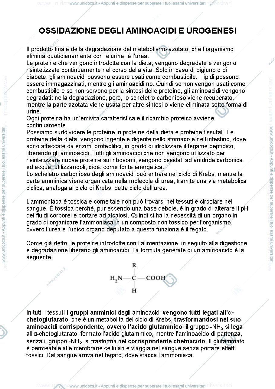 Anteprima pagina 1 — Biochimica metabolica - parte terza
