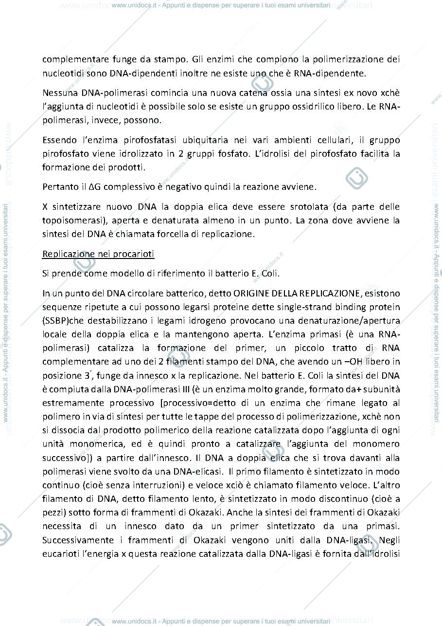 Anteprima pagina 2 — replicazione del DNA