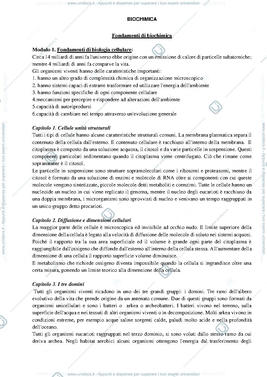 Anteprima pagina 1 — Biochimica