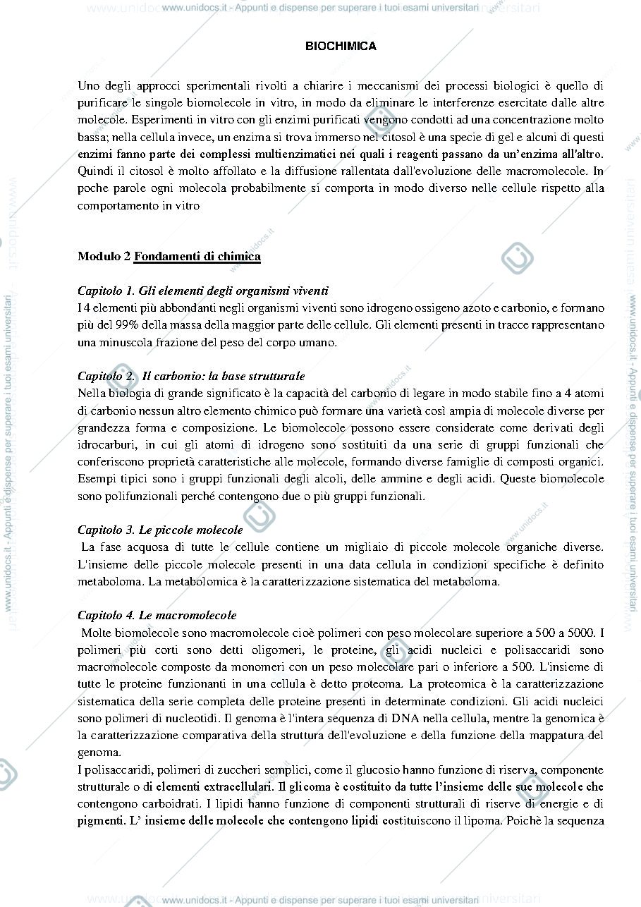 Anteprima pagina 3 — Biochimica