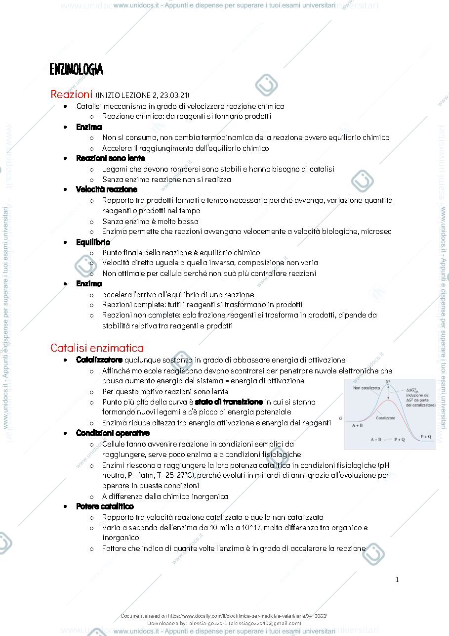 Anteprima pagina 3 — Biochimica Generale 