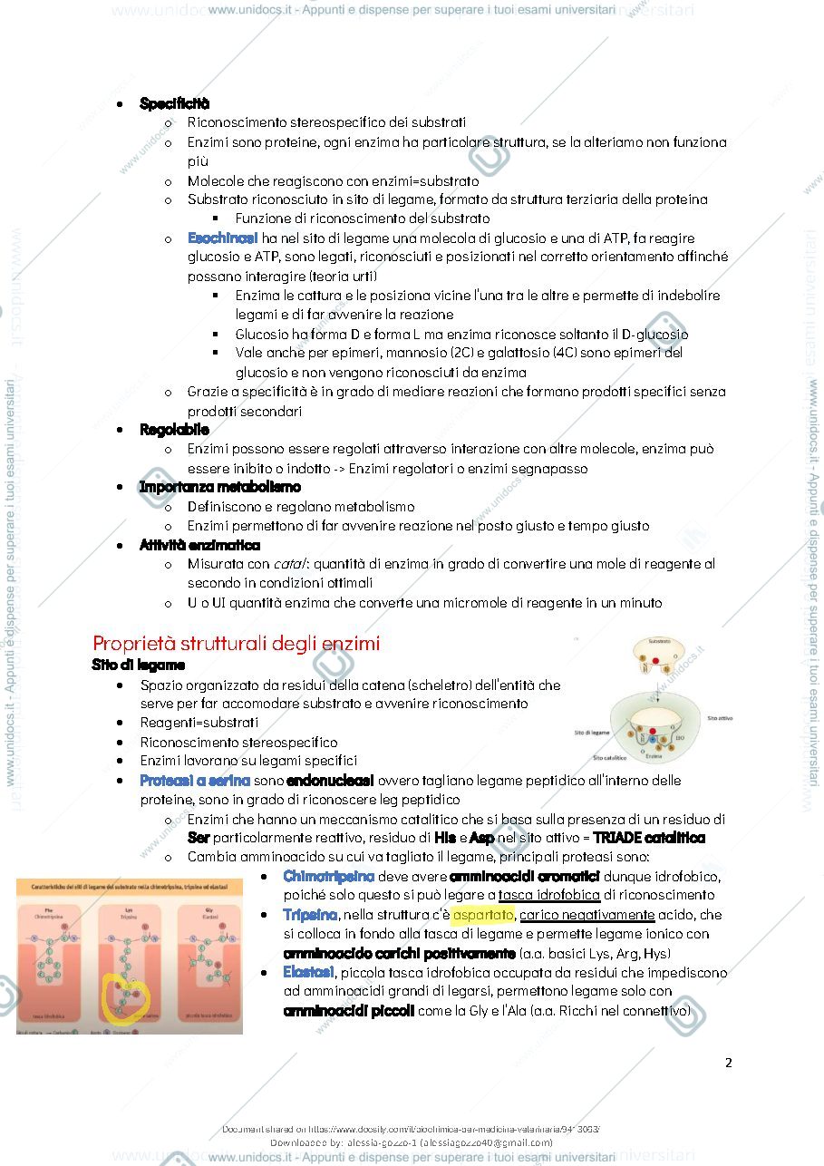 Anteprima pagina 4 — Biochimica Generale 
