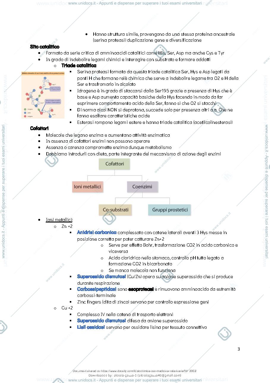 Anteprima pagina 5 — Biochimica Generale 