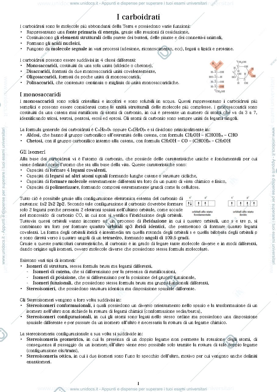 Anteprima pagina 1 — carboidrati 1