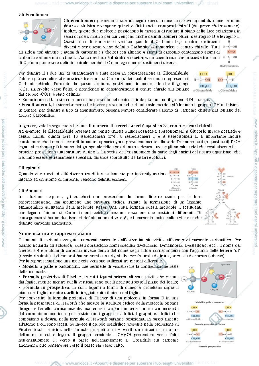Anteprima pagina 2 — carboidrati 1