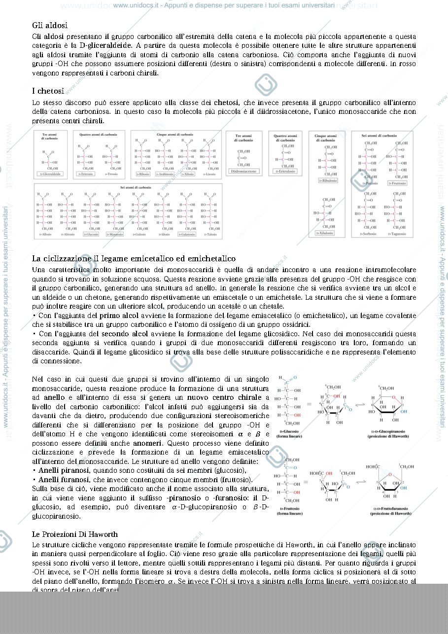 Anteprima pagina 3 — carboidrati 1