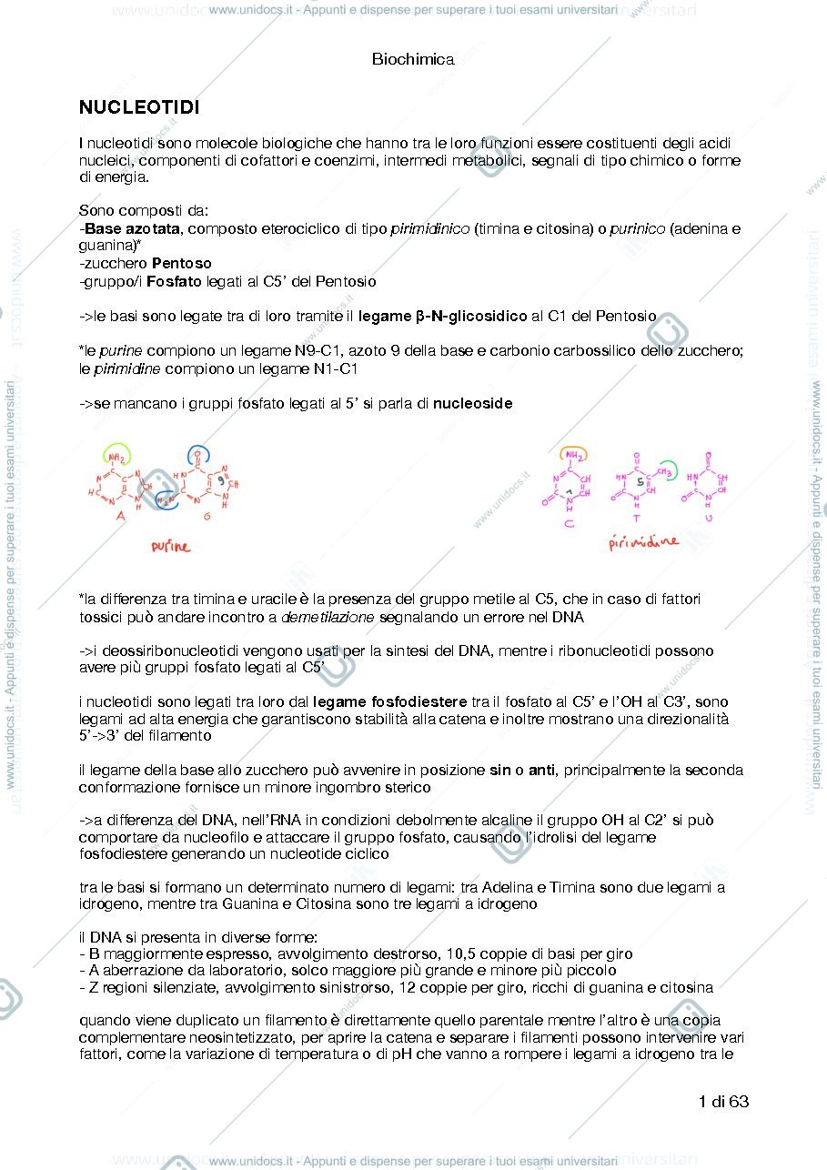 Anteprima pagina 1 — Riassunto Biochimica I