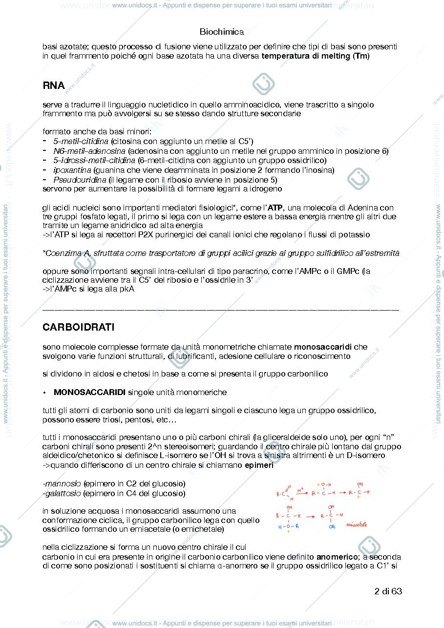 Anteprima pagina 2 — Riassunto Biochimica I