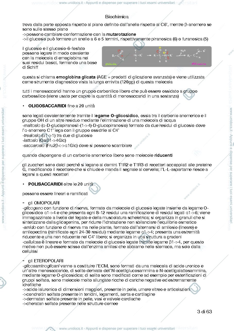 Anteprima pagina 3 — Riassunto Biochimica I