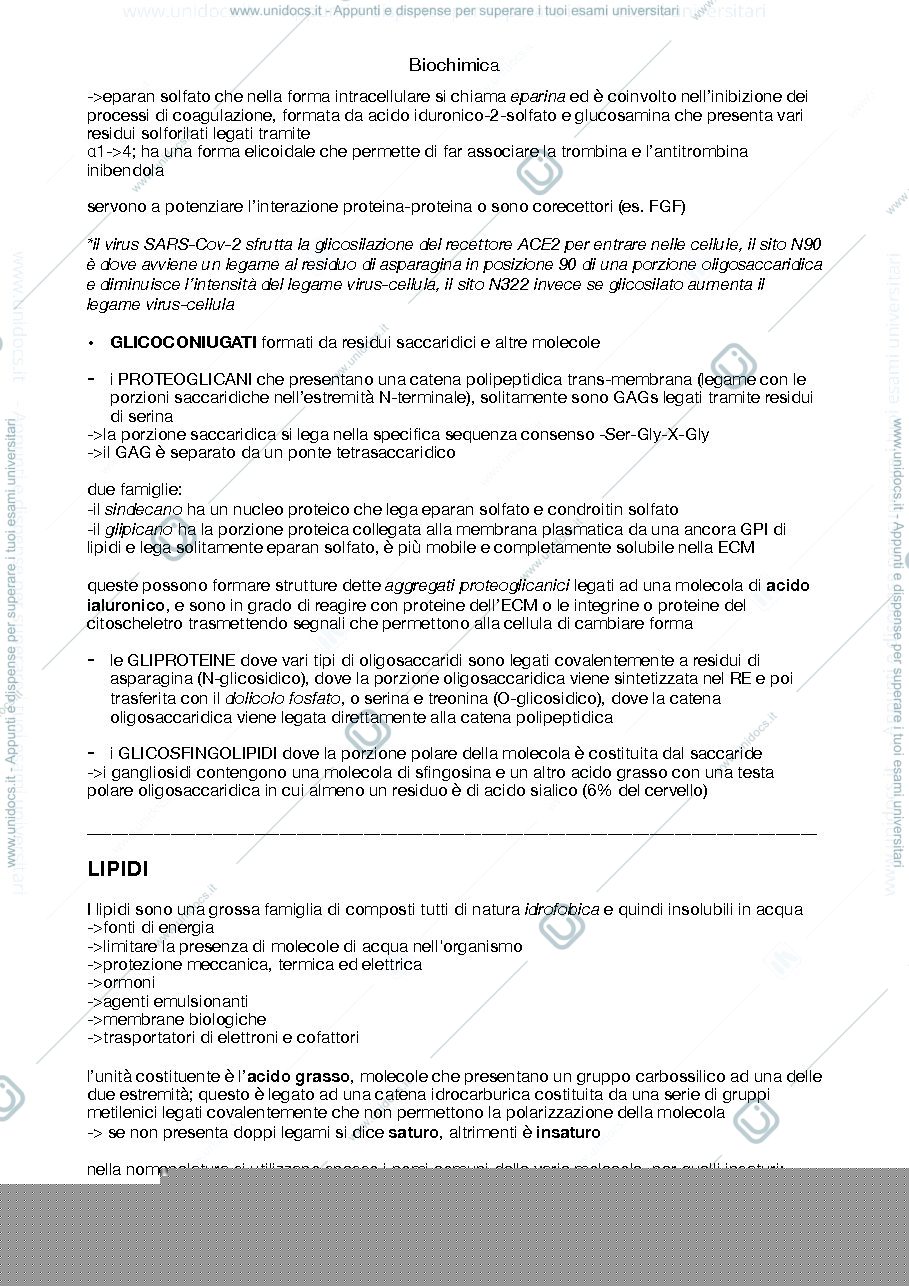 Anteprima pagina 4 — Riassunto Biochimica I