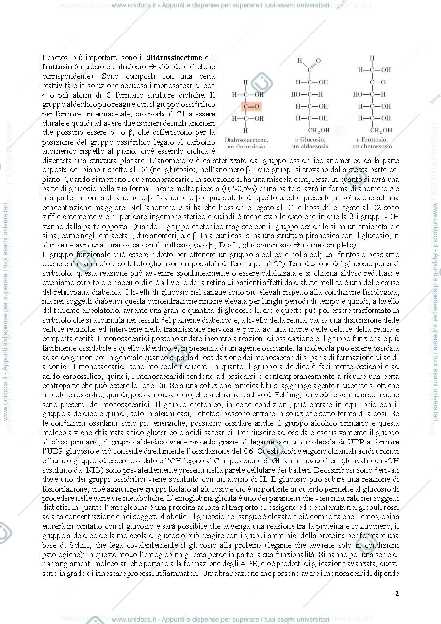Anteprima pagina 2 — Biochimica modulo I